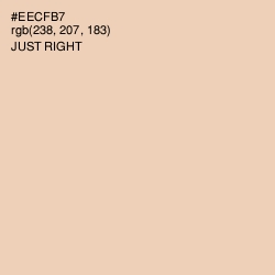 #EECFB7 - Just Right Color Image